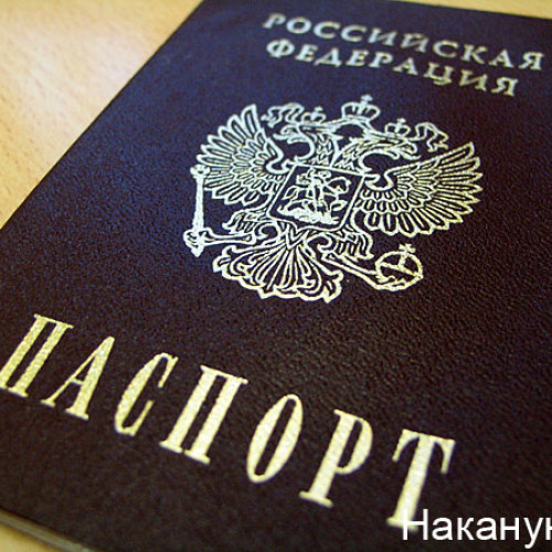 Депутаты Госдумы сняли с рассмотрения старый законопроект о гражданстве РФ
