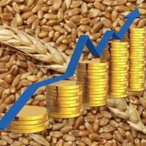 Затулин: Западу придется выбирать, с чем бороться