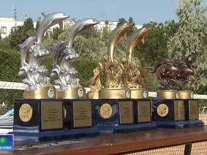 Репортаж с турнира «Большая Бескозырка 2011»