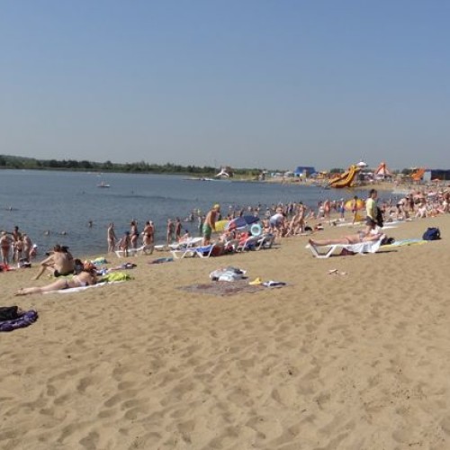 Кто не должен платить курортный сбор на отдыхе в Краснодарском крае?