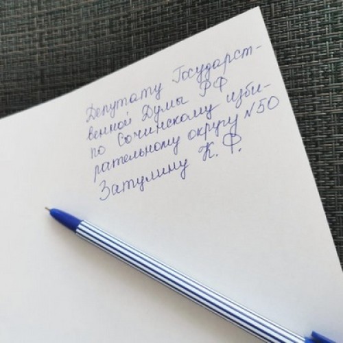 С инициативой создания электронной книги жалоб и предложений выступают жители Сочи