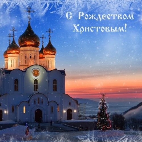Рождество 2019 года – радость со слезами на глазах