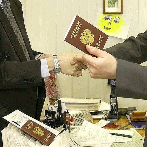 Госдума приняла в первом чтении поправки к закону «О гражданстве»: кто сможет рассчитывать на получение убежища в России