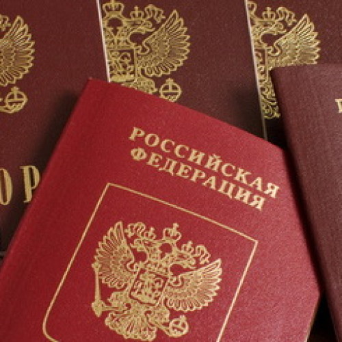Правительство РФ перекладывает ответственность на президента в вопросе упрощенного получения гражданства