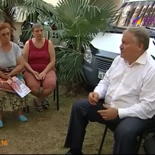 Жители Хосты пытаются решить вопрос спила аварийных деревьев