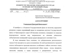 Продолжение разговора о судьбе субтропиков в Сочи